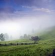 evening mountain plateau landscape (Carpathian, Ukraine) 