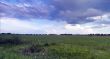 field of grass and perfect sky