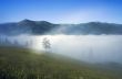 evening mountain plateau landscape (Carpathian, Ukraine)