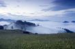 evening mountain plateau landscape (Carpathian, Ukraine)