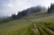 evening mountain plateau landscape (Carpathian, Ukraine)