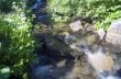 mountain river. Beauty wild nature landscape
