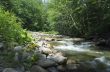 mountain river. Beauty wild nature landscape