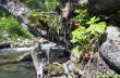 mountain river. Beauty wild nature landscape