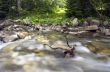 mountain river. Beauty wild nature landscape