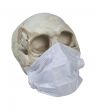 Skull Wearing Medical Mask