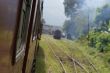 Train In Sri Lanka 