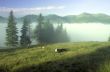 evening mountain plateau landscape (Carpathian, Ukraine) 