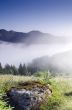 evening mountain plateau landscape (Carpathian, Ukraine) 