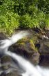 Flowing water of Carpathian mountain stream 