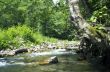 Flowing water of Carpathian mountain stream 