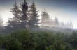 evening mountain plateau landscape (Carpathian, Ukraine) 