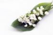 Close up of Lily of the valley 
