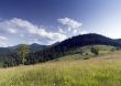 evening mountain plateau landscape (Carpathian, Ukraine)