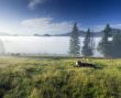 evening mountain plateau landscape (Carpathian, Ukraine)