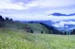 evening mountain plateau landscape (Carpathian, Ukraine) 
