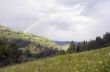 evening mountain plateau landscape (Carpathian, Ukraine)