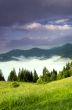 evening mountain plateau landscape (Carpathian, Ukraine) 