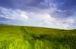 evening mountain plateau landscape (Carpathian, Ukraine) 
