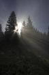 evening mountain plateau landscape (Carpathian, Ukraine) 