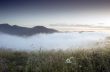 evening mountain plateau landscape (Carpathian, Ukraine) 
