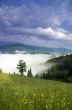 evening mountain plateau landscape (Carpathian, Ukraine)