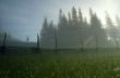 evening mountain plateau landscape (Carpathian, Ukraine)