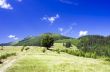 evening mountain plateau landscape (Carpathian, Ukraine) 