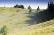 evening mountain plateau landscape (Carpathian, Ukraine) 