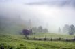 evening mountain plateau landscape (Carpathian, Ukraine) 