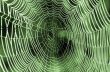 The spider web (cobweb) closeup background.
