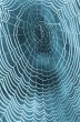 The spider web (cobweb) closeup background.