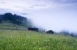 evening mountain plateau landscape (Carpathian, Ukraine)