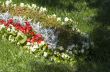 KIEV, UKRAINE. `Spevoche pole` in Kiev opened a traditional 59 f