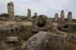 Stone Forest in Bulgaria. Stones mineral origin.