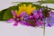 Small bunch of bright meadow flowers.