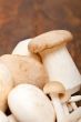 fresh wild mushrooms