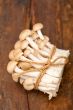 fresh wild mushrooms