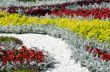 flower exhibition