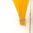Italian pasta spaghetti