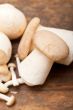 fresh wild mushrooms