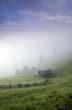 evening mountain plateau landscape (Carpathian, Ukraine) 