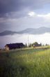 evening mountain plateau landscape (Carpathian, Ukraine) 