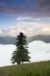 evening mountain plateau landscape (Carpathian, Ukraine) 