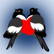 A pair of lovers bullfinches with heart 