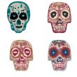 Collection of beautiful colored skulls background