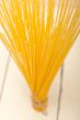 Italian pasta spaghetti