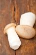 fresh wild mushrooms