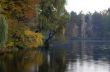 golden autumn on the lake. everything was yellow in the fall.
