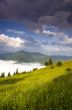 evening mountain plateau landscape (Carpathian, Ukraine)